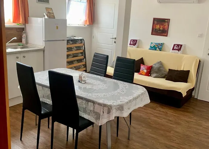 Sara Vendeghaz Buzsak