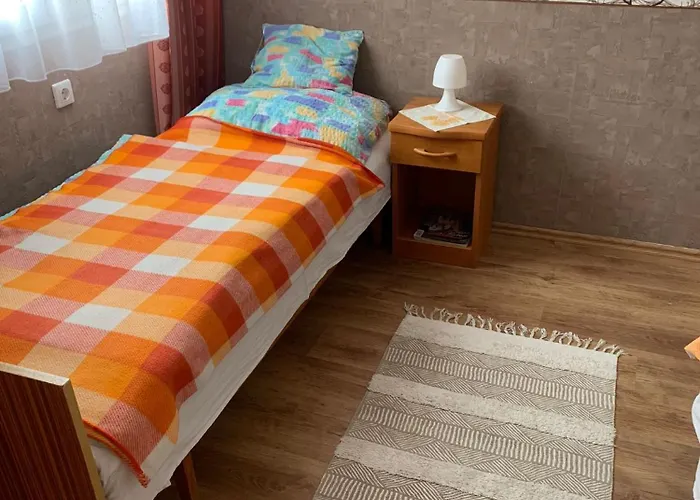 Sara Vendeghaz Buzsak Holiday home *